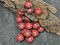 *15* 10mm Silver Washed Opaque Red Travertine Forget Me Not Flower Beads